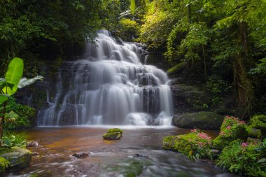 Mun daeng şelale, güzel şelale derin orman, Phu Hin Rong Kla Milli Parkı, Phitsanulok, Tayland