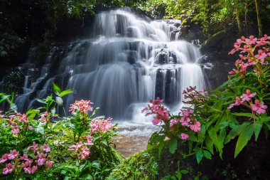 Mun daeng şelale, güzel şelale derin orman, Phu Hin Rong Kla Milli Parkı, Phitsanulok, Tayland