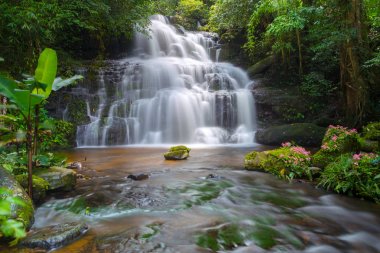 Mun daeng şelale, güzel şelale derin orman, Phu Hin Rong Kla Milli Parkı, Phitsanulok, Tayland