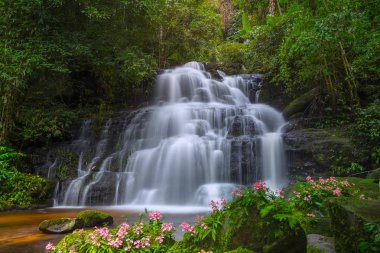 Mun daeng şelale, güzel şelale derin orman, Phu Hin Rong Kla Milli Parkı, Phitsanulok, Tayland