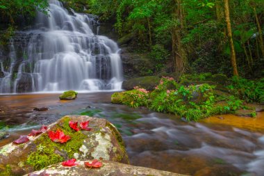 Mun daeng şelale, güzel şelale derin orman, Phu Hin Rong Kla Milli Parkı, Phitsanulok, Tayland