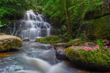 Mun daeng şelale, güzel şelale derin orman, Phu Hin Rong Kla Milli Parkı, Phitsanulok, Tayland