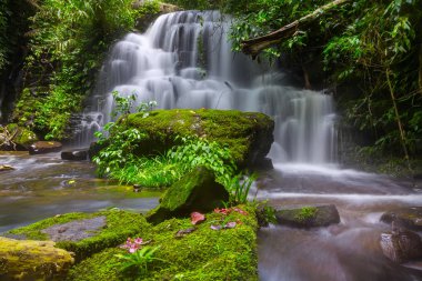 Mun daeng şelale, güzel şelale derin orman, Phu Hin Rong Kla Milli Parkı, Phitsanulok, Tayland