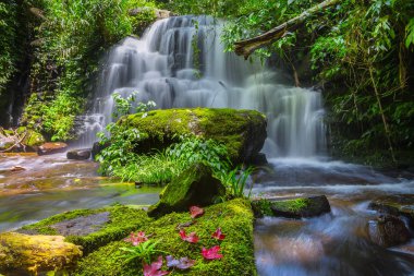 Mun daeng şelale, güzel şelale derin orman, Phu Hin Rong Kla Milli Parkı, Phitsanulok, Tayland
