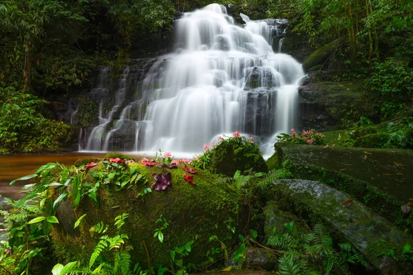Mun daeng şelale, güzel şelale derin orman, Phu Hin Rong Kla Milli Parkı, Phitsanulok, Tayland