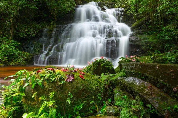 Mun daeng şelale, güzel şelale derin orman, Phu Hin Rong Kla Milli Parkı, Phitsanulok, Tayland