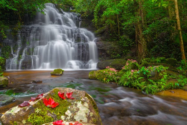 Mun daeng şelale, güzel şelale derin orman, Phu Hin Rong Kla Milli Parkı, Phitsanulok, Tayland