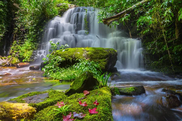 Cascada Mun Daeng Hermosa Cascada Bosque Profundo Parque Nacional Phu — Foto de Stock