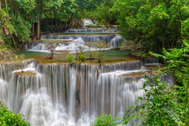  Huay Mae Kamin Waterfall Khuean Srinagarindra Milli Parkı'nda, Kanchanaburi il. Tayland