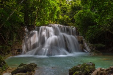  Huay Mae Kamin Waterfall Khuean Srinagarindra Milli Parkı'nda, Kanchanaburi il. Tayland