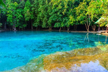 Güzel doğal maden suyu Havuzu, Krabi, Tayland Thailand derin ormandaki