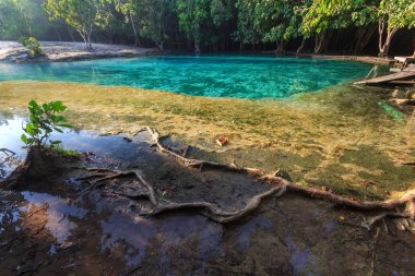 Güzel doğal maden suyu Havuzu, Krabi, Tayland Thailand derin ormandaki