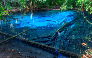 Güzel doğal maden suyu Havuzu, Krabi, Tayland Thailand derin ormandaki
