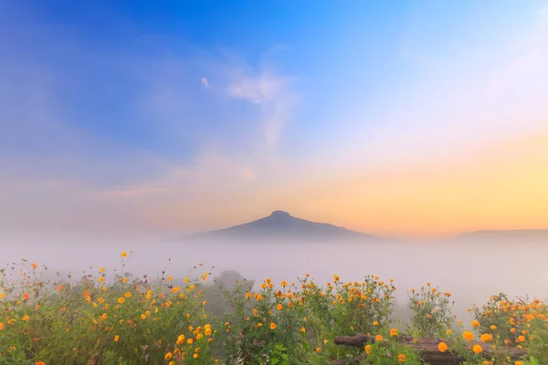 Sunrise with the mist Beautiful landscape for relaxing in thailand