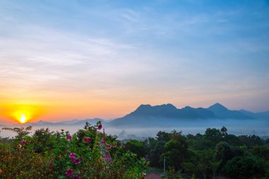 Loei Eyaleti Tayland 'ın Phu Luang şehrinde dinlenmek için güzel doğal manzara.
