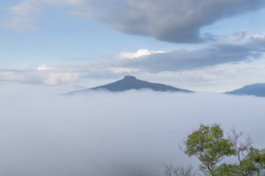Loei Eyaleti Tayland 'ın Phu Luang şehrinde dinlenmek için güzel doğal manzara.