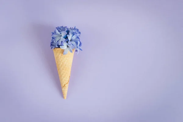 Ice cream horn or cone with purple hyacinth on a purple background. Happy Mother\'s Day, Women\'s Day or Birthday. Floral flat lay minimalism geometric patterns greeting card. Top view, place for text.