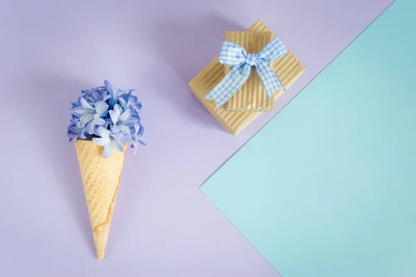 Ice cream horn or cone with purple hyacinth on a purple -mint background with gift boxes and bow.  Floral minimalism, greeting card. Top view, place for text.