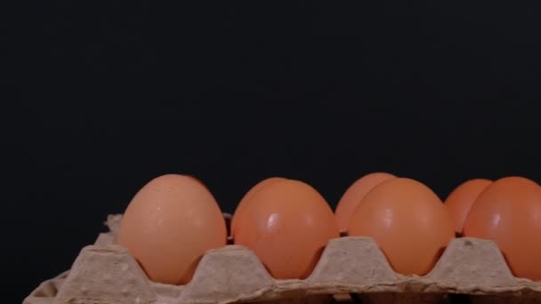 A dozen eggs in a carton — Stock Video