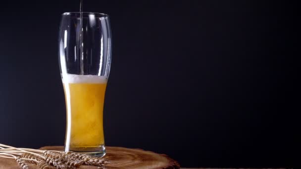 Я наливаю холодное светлое пиво в стакан с пеной — стоковое видео