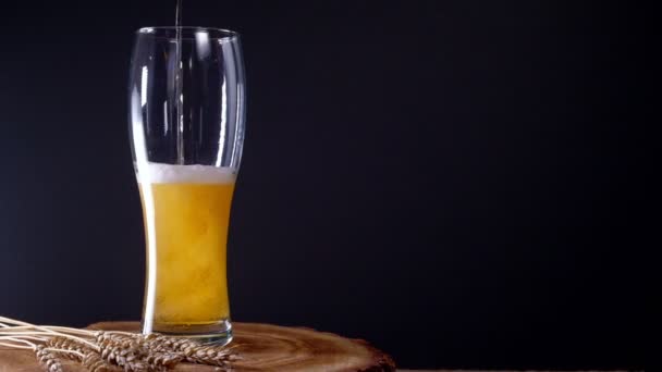 Versare birra fredda leggera in un bicchiere con schiuma — Video Stock