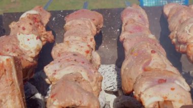 Mangaldaki et, doğadaki kömürlerin üstünde. Doğada barbekü