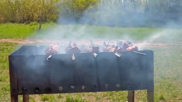 Carne en la parrilla sobre carbones en la naturaleza. Barbacoa en la naturaleza — Vídeos de Stock