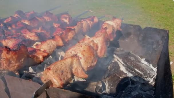 Carne en la parrilla sobre carbones en la naturaleza. Barbacoa en la naturaleza — Vídeos de Stock