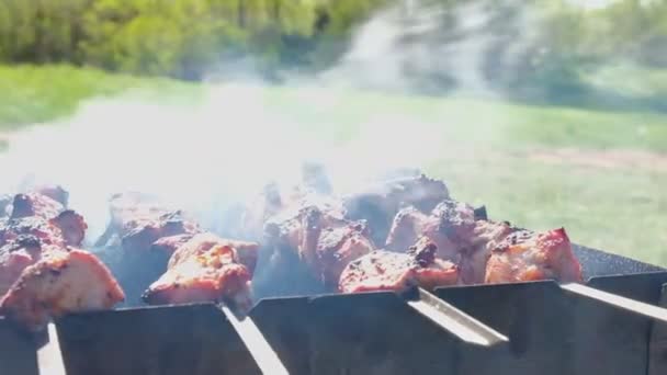 Κρέας στη σχάρα σε κάρβουνα στη φύση. Μπάρμπεκιου στη φύση — Αρχείο Βίντεο