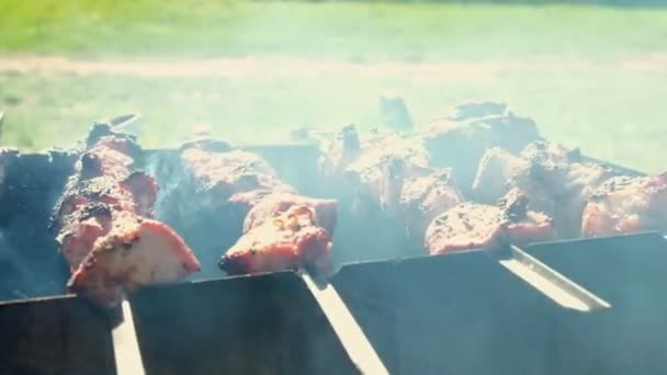 Κρέας στη σχάρα σε κάρβουνα στη φύση. Μπάρμπεκιου στη φύση — Αρχείο Βίντεο