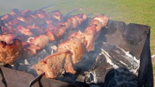 Carne en la parrilla sobre carbones en la naturaleza. Barbacoa en la naturaleza — Vídeos de Stock