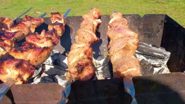 Meat on the grill on coals in nature. Barbecue in nature — Stock Video