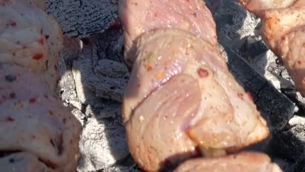 Carne en la parrilla sobre carbones en la naturaleza. Barbacoa en la naturaleza — Vídeos de Stock