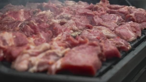 Çiğ domuz eti, bbq ızgarasında pişirilir. Ağır çekimde baharatlı ve aromalı marine edilmiş et parçaları. Geleneksel ulusal yemek Şiş kebap ya da şiş kebap açık havada barbeküde kızartılır. Kapat. — Stok video