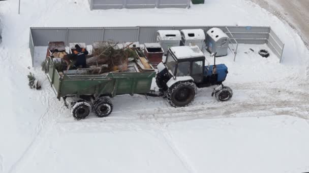 Popelářská služba uklízí staré vánoční stromky v popelářském traktoru. Novoroční prázdninová koncepce — Stock video