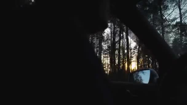 Een mannelijke bestuurder rijdt 's avonds in een auto. Buiten het raam vinden de zonnestralen hun weg door het bos, een reis — Stockvideo