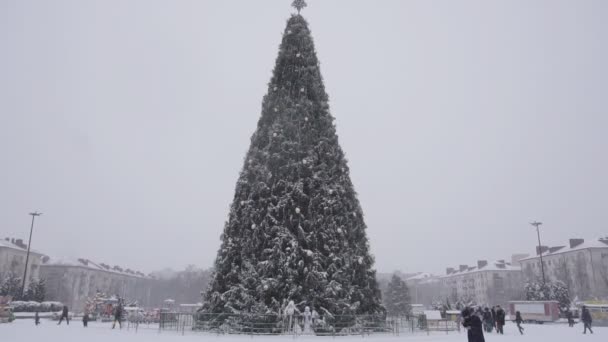 Erős hóesés a háttérben egy karácsonyfa a téren, sok hó. Karácsonyi ünnepek háttér, lassított felvétel — Stock videók