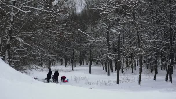 Mensen en ouders met kinderen sleeën in het winterbos. Familie vakantie overdag — Stockvideo