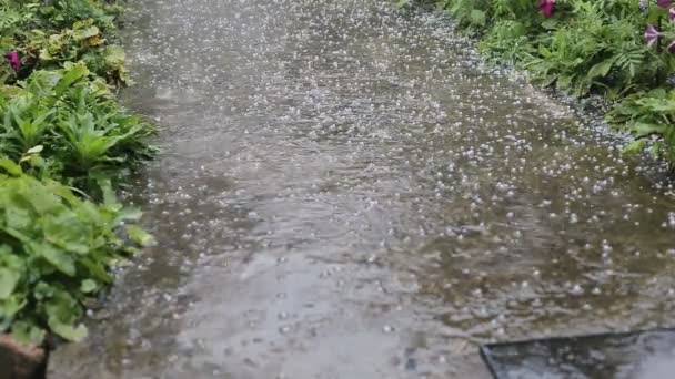 Starkregen, Hagel fällt zu Boden, schlechtes Wetter, Kopierraum — Stockvideo