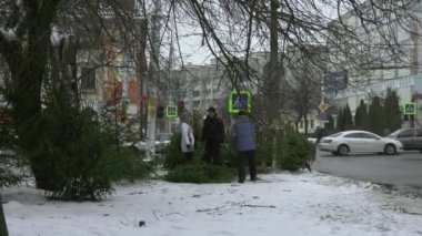 BOBRUISK, BELARUS 12.30.18 'de yılbaşı ağacı satışı için şehir pazarı. İnsanlar şehrin göbeğinde doğal bir köknar ağacı seçip alıyorlar. Tatiller ve kutlamalar