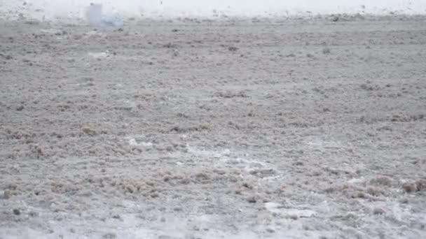 Gite in auto ad alta velocità su strada innevata di giorno in nevicata. Fango, fango e terra volano via. Superficie del terreno umida e scivolosa. Ruote in primo piano al rallentatore. Condizioni meteo avverse per traffico, bufera di neve — Video Stock