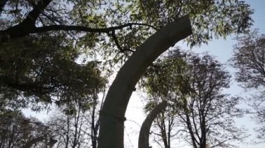 Güneşin arka planında dikenli teller var. Savaş halindeki ölüm kampları, Yahudilerin yok edilmesi, ağır çekim