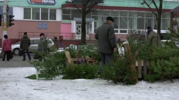 Городской базар по продаже новогодних елок в Бобруйске, Белоруссия 12.18. Люди смотрят, выбирают и покупают натуральную живую ель в центре города. Праздники и торжества — стоковое видео