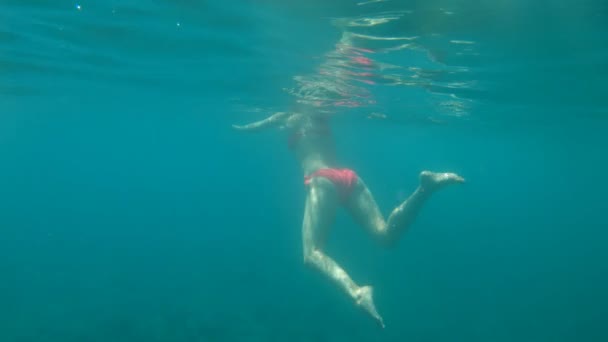 Beautiful girl swims in clear water in the ocean, shot underwater. Vacation and travel concept, background, slow motion, swimming — Stock Video