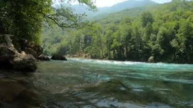 Dağlarda ve ormanlarda güzel temiz bir nehir. Arkaplan, dinlenme ve rahatlama, doğa, kopyalama alanı, yavaş çekim