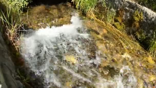 Гарний гірський потік тече над камінцями, тло. Кришталева чиста вода, природа, повільний рух — стокове відео