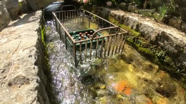 Refrigeração de uma caixa de cerveja em um riacho de montanha com água. Água fria clara, câmera lenta — Vídeo de Stock