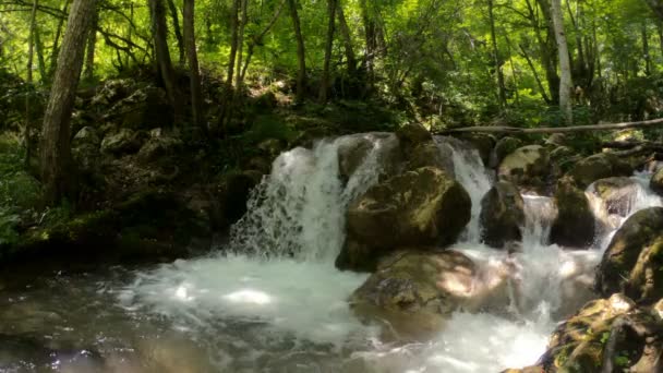 Bos berg rivier met een rotsachtige bodem. Prachtige natuur, slow motion, Bos waterval, bosnia — Stockvideo