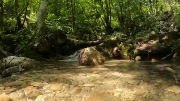 Bosque río de montaña con un fondo rocoso. Hermosa naturaleza, cámara lenta, cascada del bosque, bosnia — Vídeo de stock