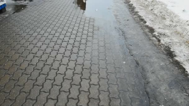 Alguien con bolsa de tela camina sobre las losas de pavimentación en invierno. Puddles, mal tiempo. Nieve sucia — Vídeos de Stock